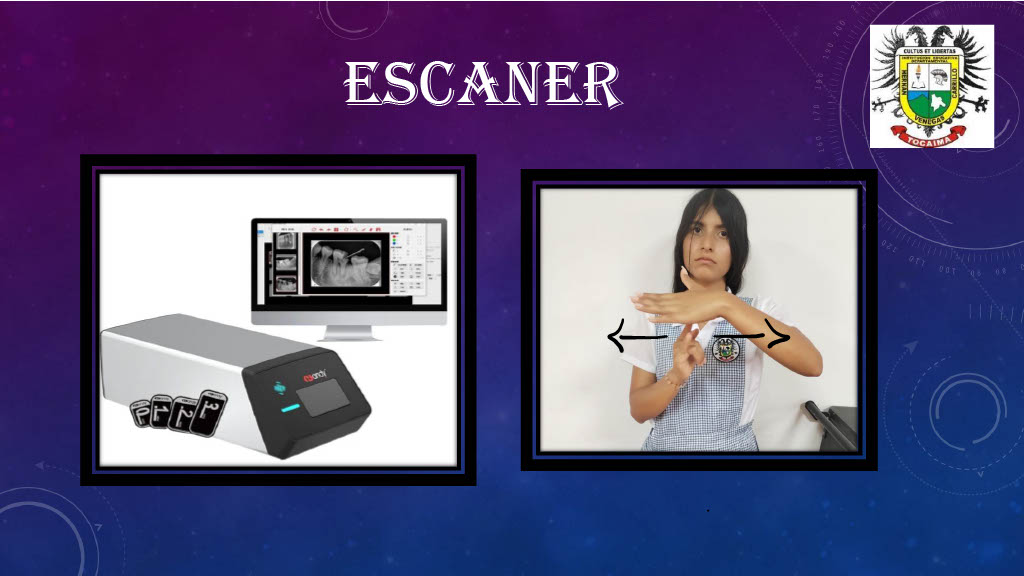 Voluntarios ayudando