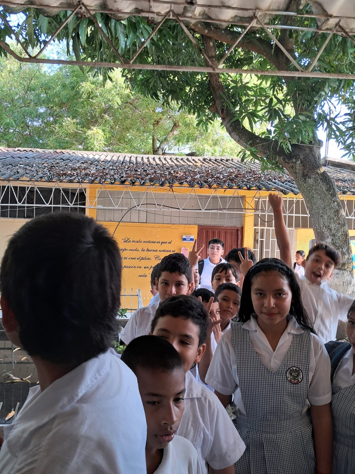 Democracia Infantil en Preescolar y Primaria